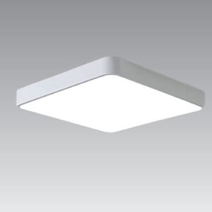 SURFACE MOUNTED LIGHT