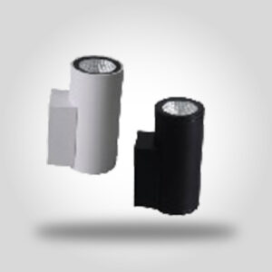 Outdoor Downlight